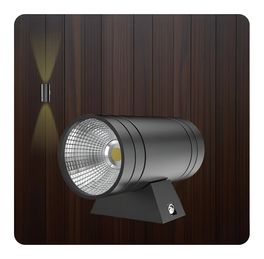 GOL-29 Outdoor Light – 2x5W · 3K